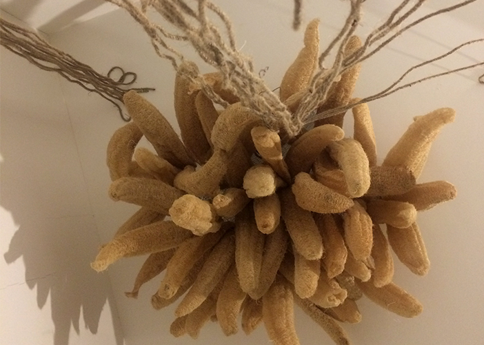 Workshop | Between The Lines 